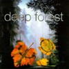 deepforest_0r.jpg